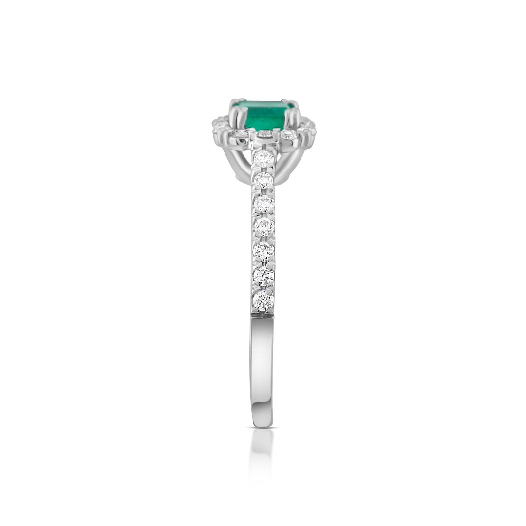 14K White Gold Diamond & Emerald Halo Ring ¾ Ct